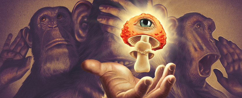 The Stoned Ape Theory and Psilocybin Mushrooms